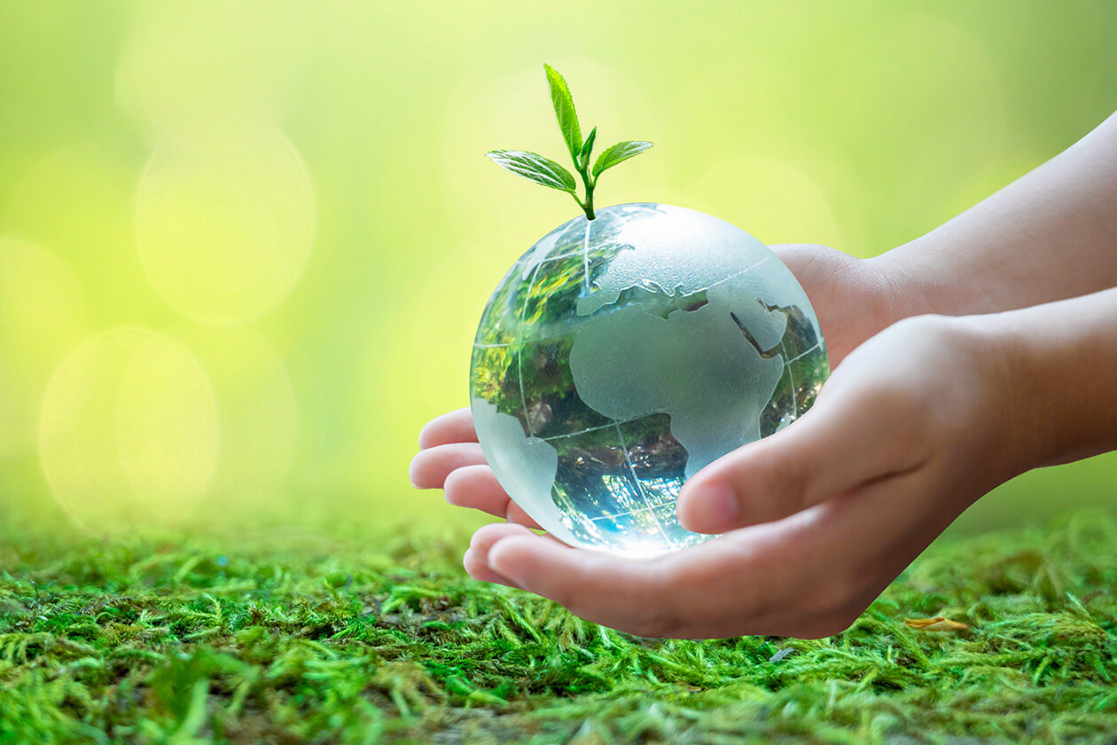 素材の声に、
そっと耳を澄ます。