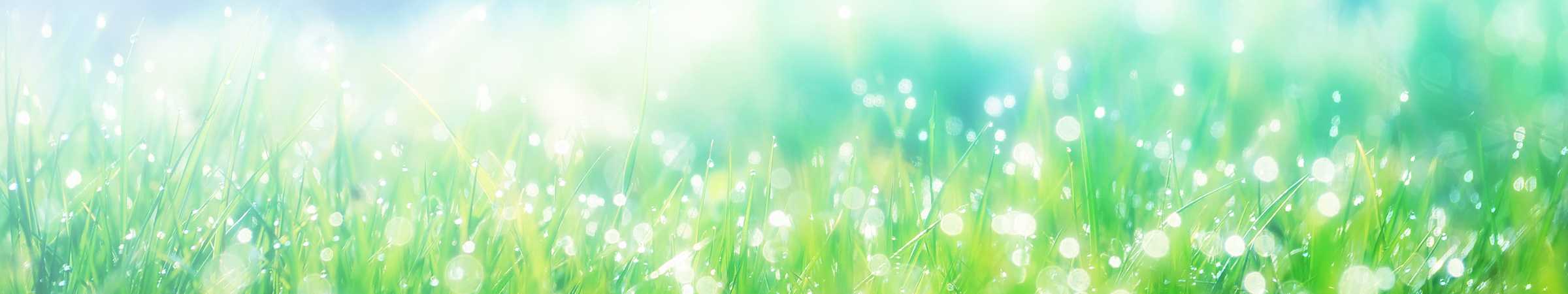 日本ハルマ株式会社