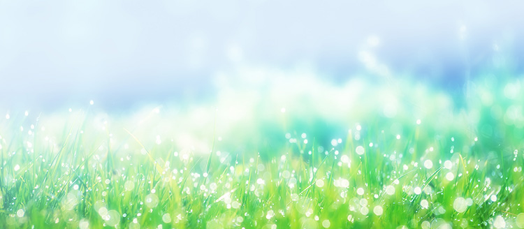 日本ハルマ株式会社